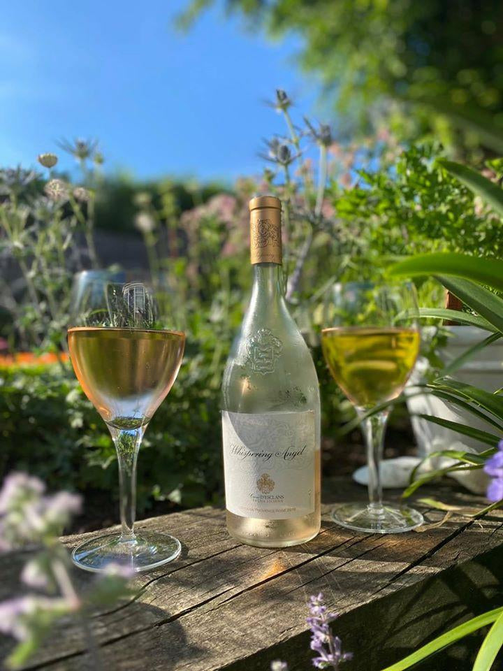 Provence Rose