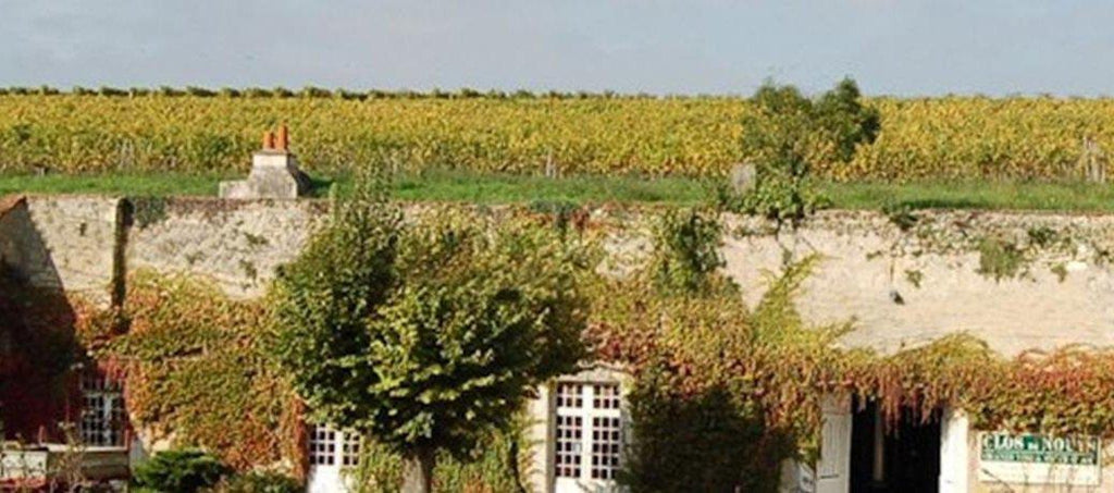 Touring Touraine-Turton Wines