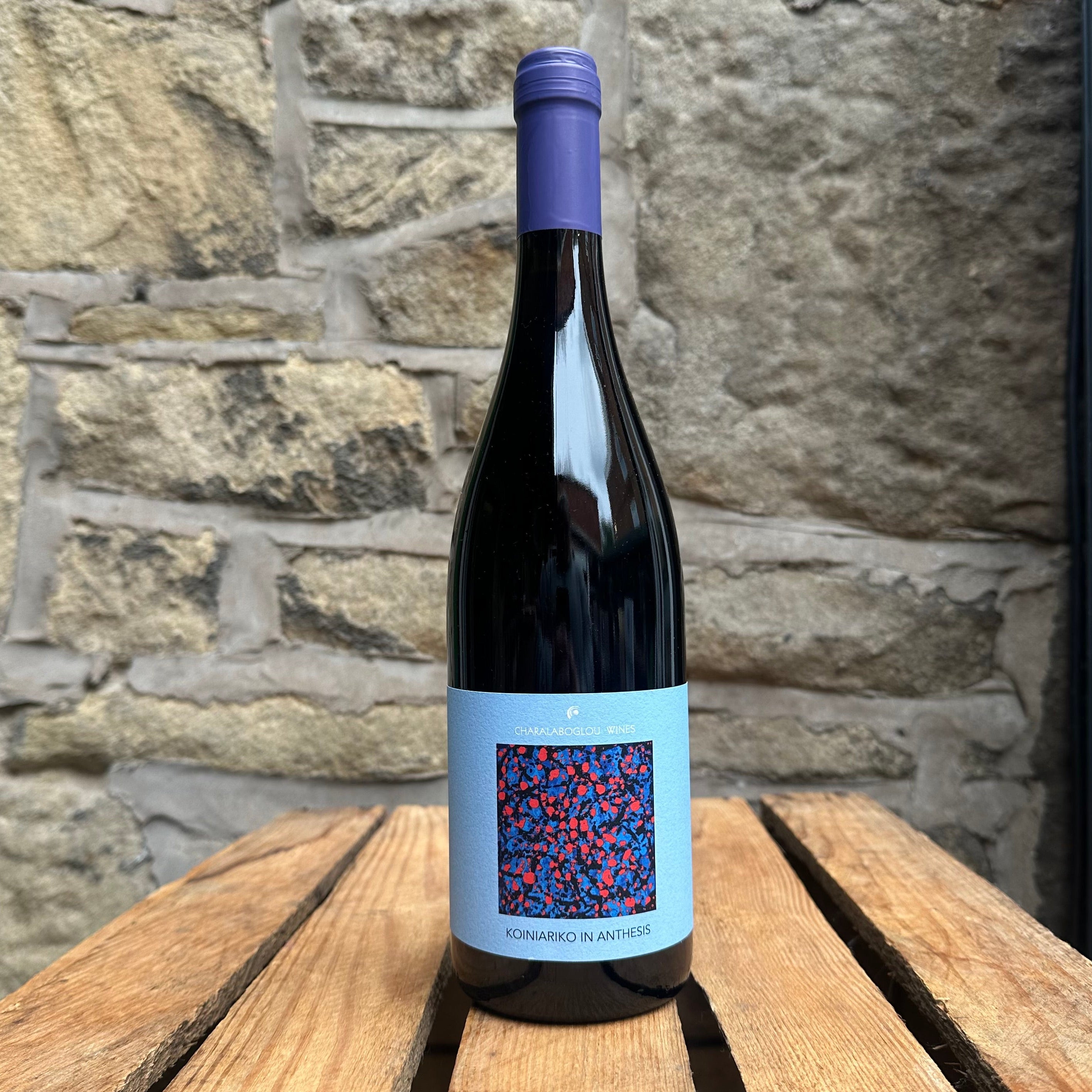 Koiniariko in Anthesis-WINE-Turton Wines