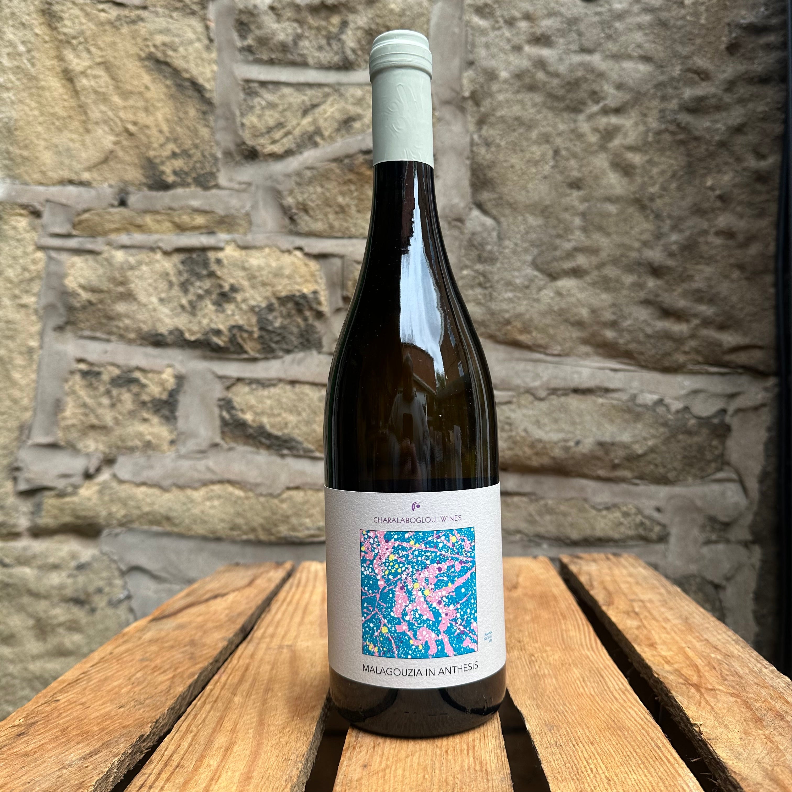 Malagouzia in Anthesis-WINE-Turton Wines