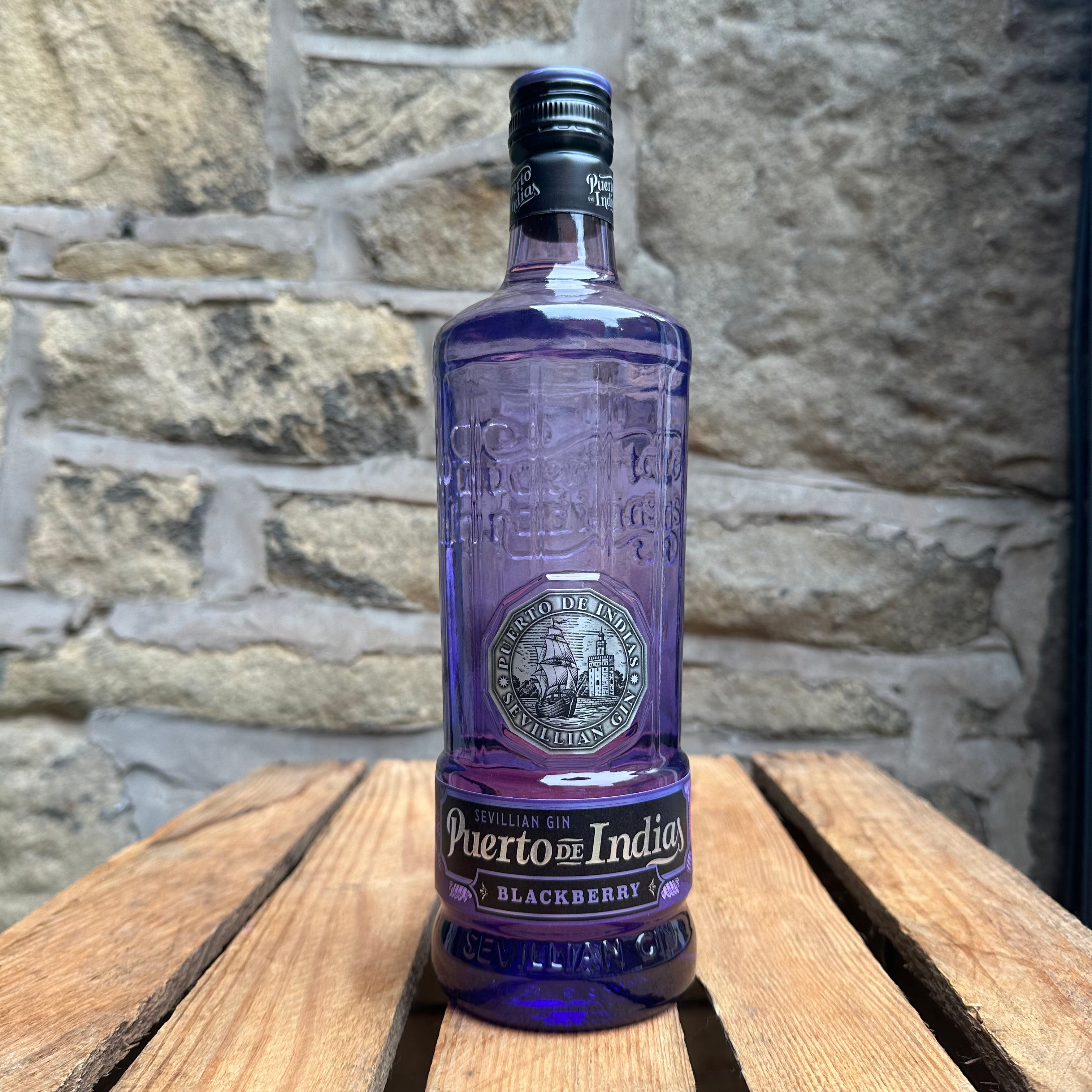 Puerto De Indias Blackberry Gin-SPIRITS-Turton Wines